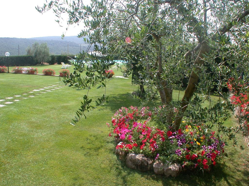 Agriturismo Arnano Sovicille Exterior photo